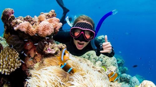 snorkelling